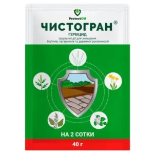 Чистоган