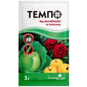 Темпо