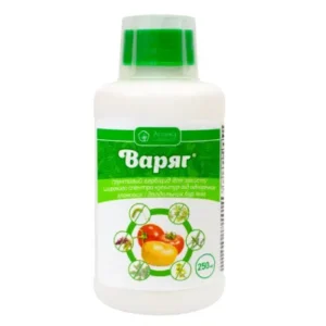 Варяг