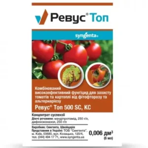 Ревус