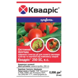 Квадрис