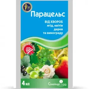 Парацельс