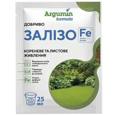 Аргумін Залізо