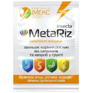 MetaRiz